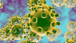 Coronavirus / COVID-19 - SNF Risk Management Checklist