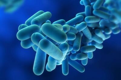 ROLF Consulting Provides Legionella Prevention Assistance