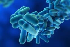 ROLF Consulting Provides Legionella Prevention Assistance